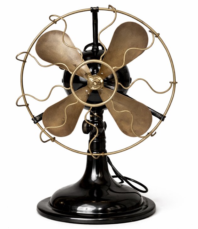 Fan